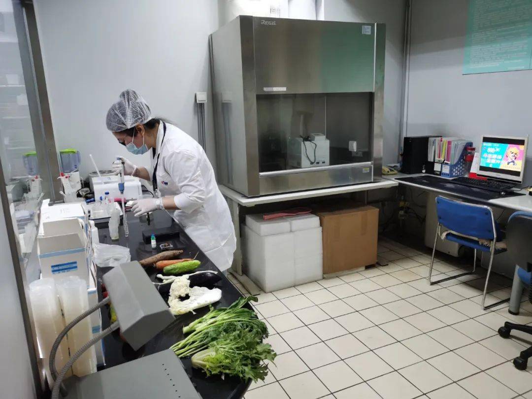 景宁食品检测实验室装修方案